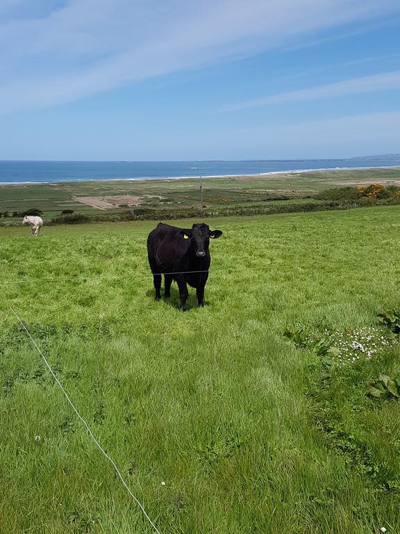 Fort Farmhouse B&B Castlegregory Esterno foto