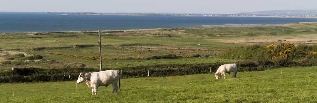 Fort Farmhouse B&B Castlegregory Esterno foto