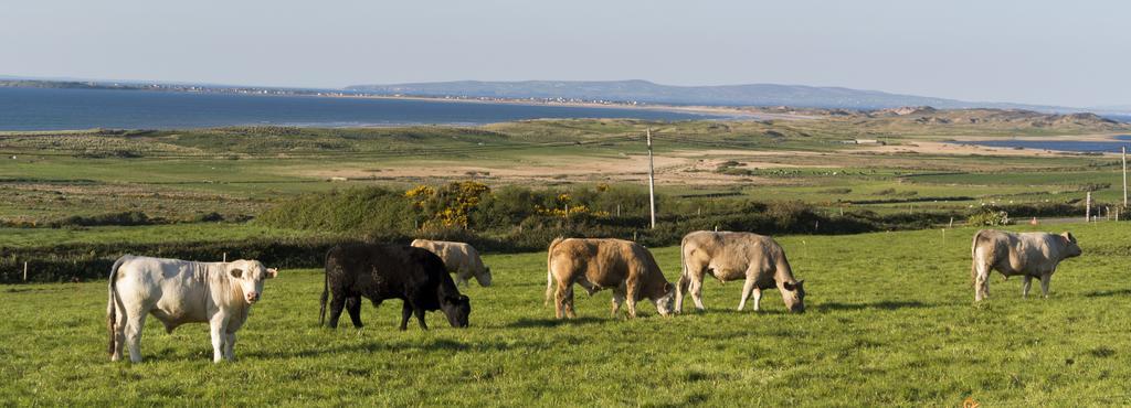 Fort Farmhouse B&B Castlegregory Esterno foto